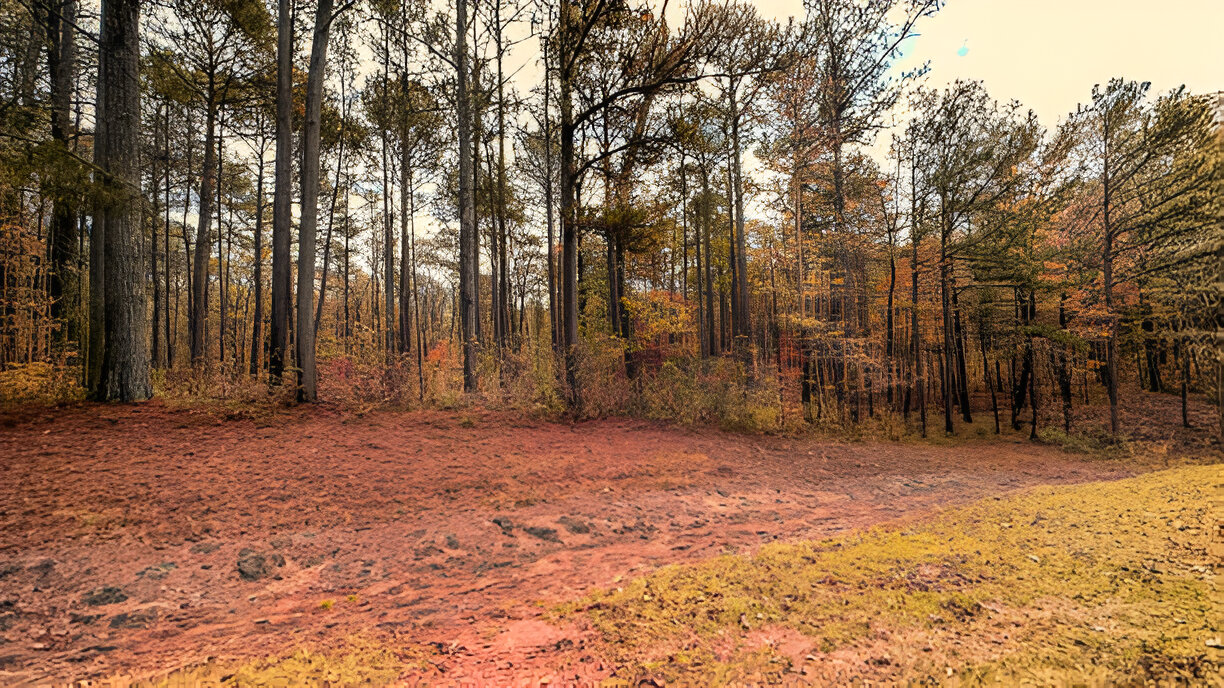 Land Clearing in Georgia