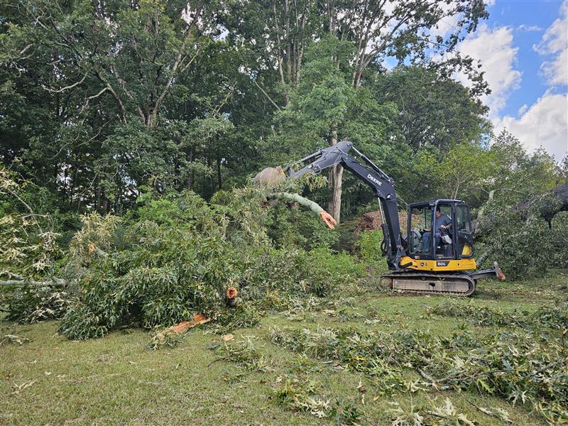BHH Land Clearing|Macon, GA