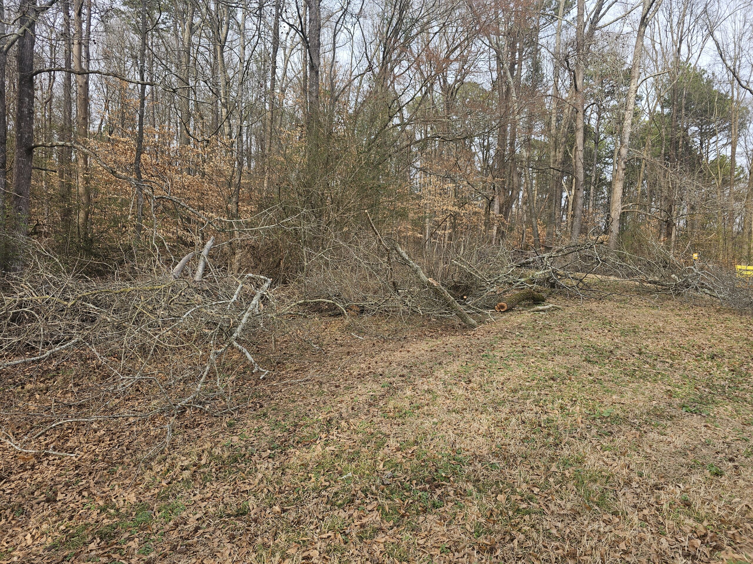 BHH Land Clearing|Atlanta