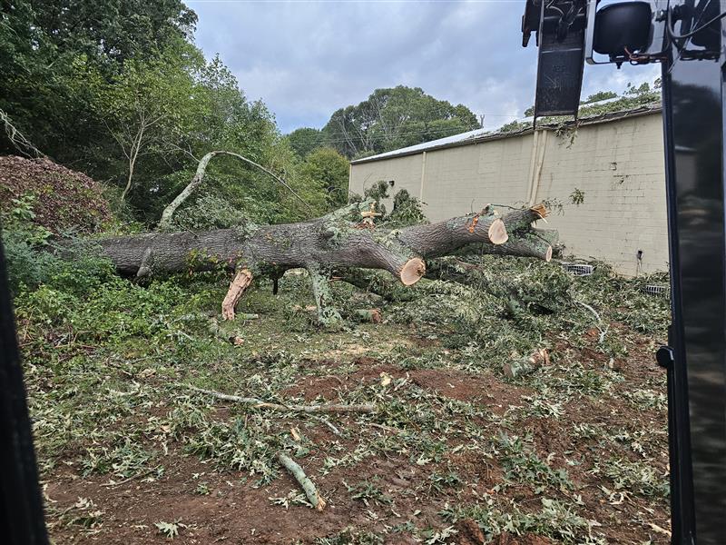 BHH Land Clearing|Home