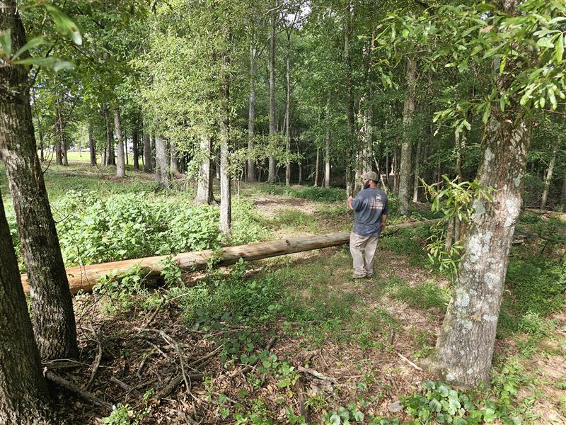 BHH Land Clearing|Macon, GA