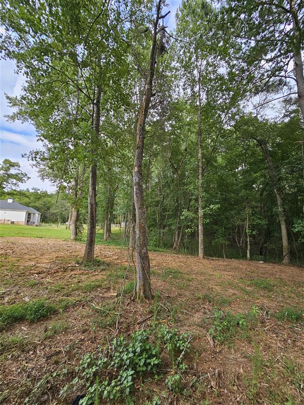 BHH Land Clearing|Deer Food Plots in Athens, GA