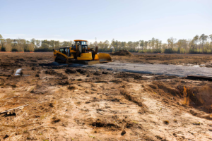 BHH Land Clearing | No Till Food Plots in Georgia: A Complete Beginner’s Guide for Deer Hunters BHH Land Clearing | No Till Food Plots in Georgia: A Complete Beginner’s Guide for Deer Hunters