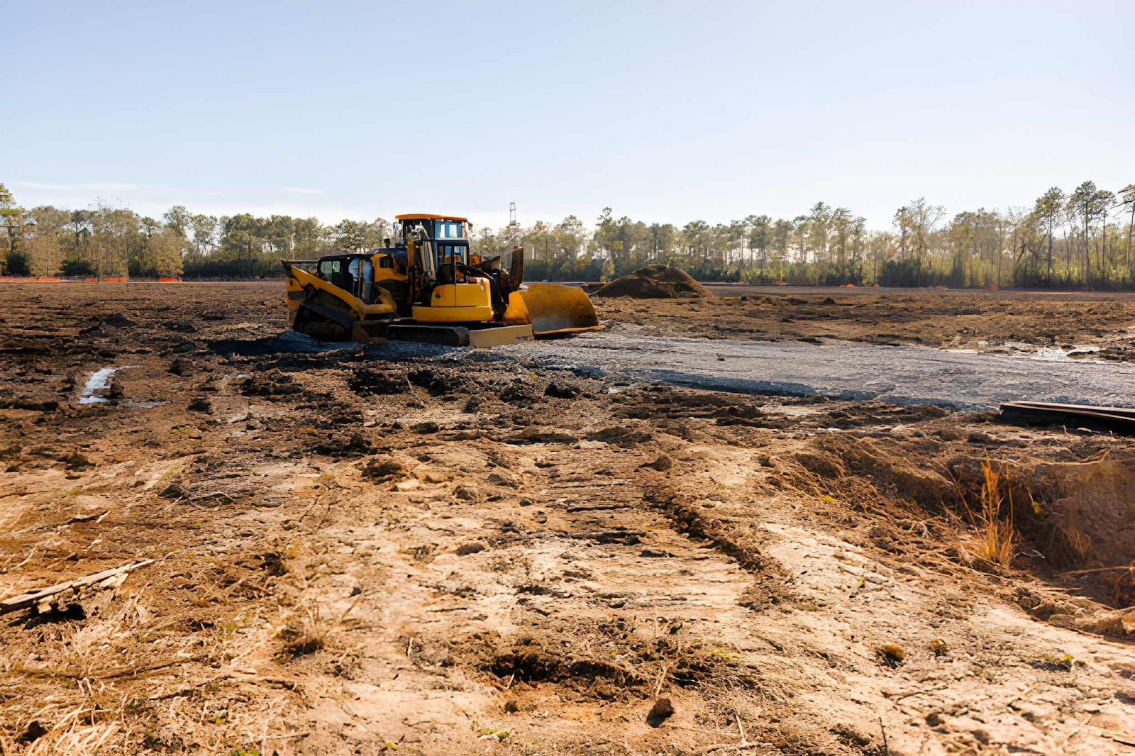 BHH Land Clearing | No Till Food Plots in Georgia: A Complete Beginner's Guide for Deer Hunters BHH Land Clearing | No Till Food Plots in Georgia: A Complete Beginner’s Guide for Deer Hunters
