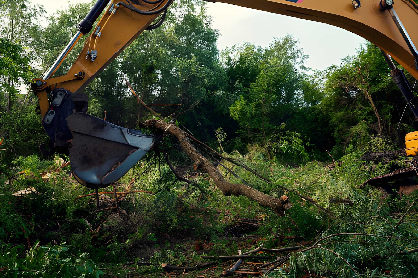 BHH Land Clearing | Land Clearing Costs in Georgia: Real Prices Per Acre and What Property Owners Should Expect BHH Land Clearing | Land Clearing Costs in Georgia: Real Prices Per Acre and What Property Owners Should Expect