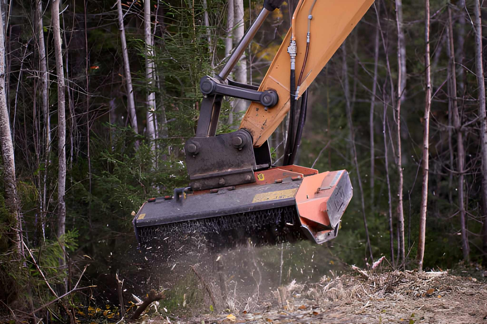 BHH Land Clearing | Forestry Mulching Georgia Landowners Use for Smarter Land Clearing forestry mulching Georgia