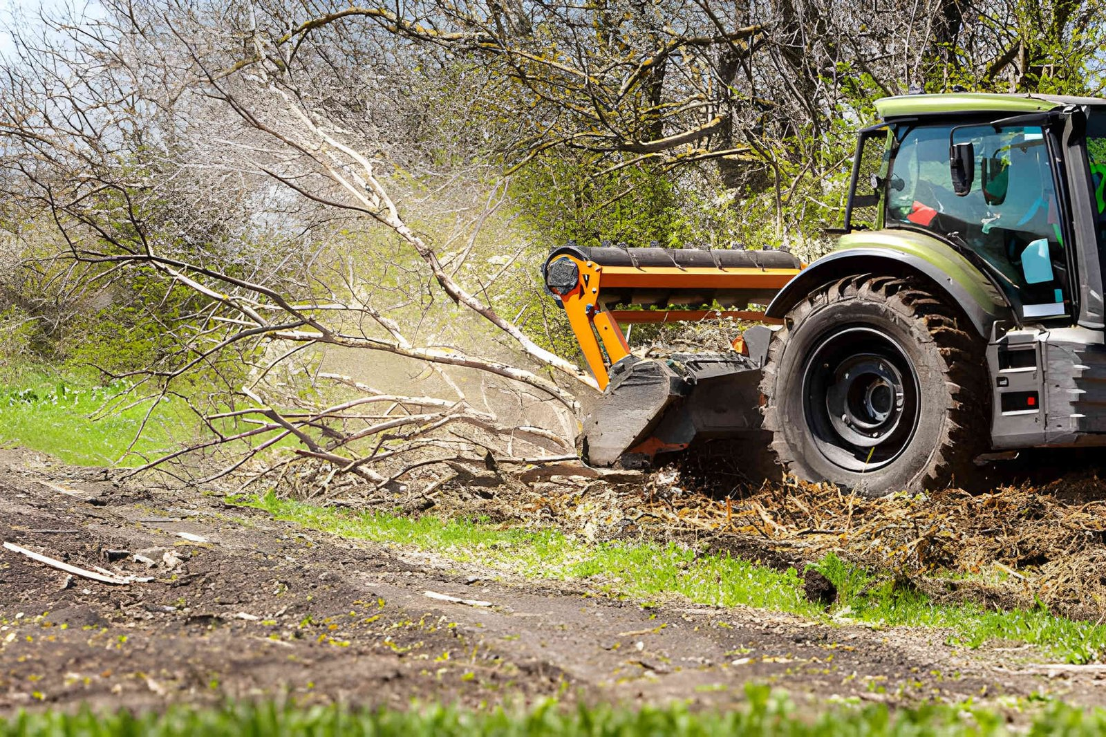 BHH Land Clearing | From Overgrown to Optimised: How Tree Mulching Service in Georgia Transforms Land Without Damaging It Tree Mulching service